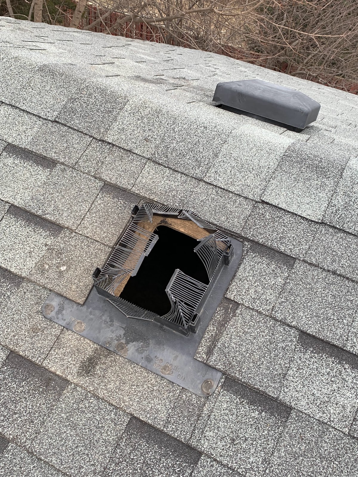 Quality Pest Control Gta Whitby