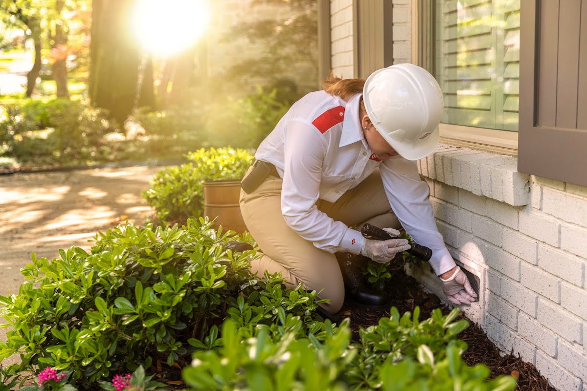 Orkin Canada Pest Control