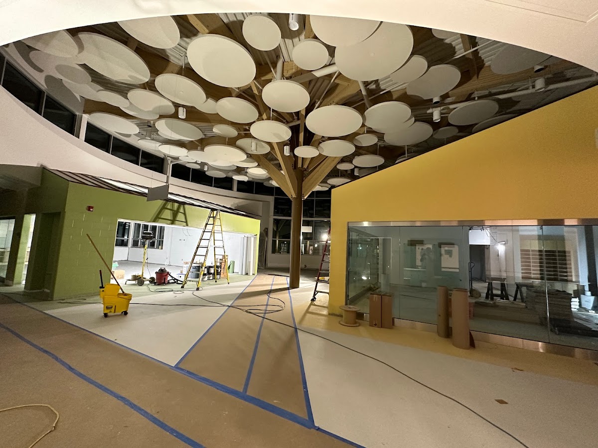 Dynamo Painting & Renovations LTD