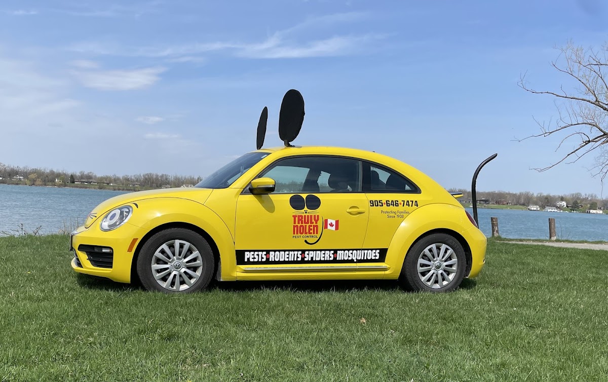 Truly Nolen Pest Control & Exterminators Niagara