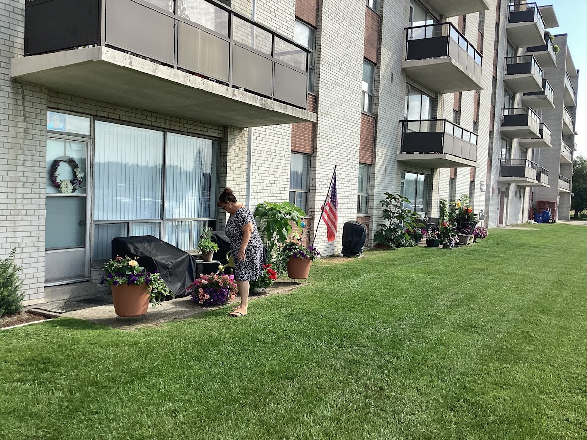 Mowr Landscapes Inc.