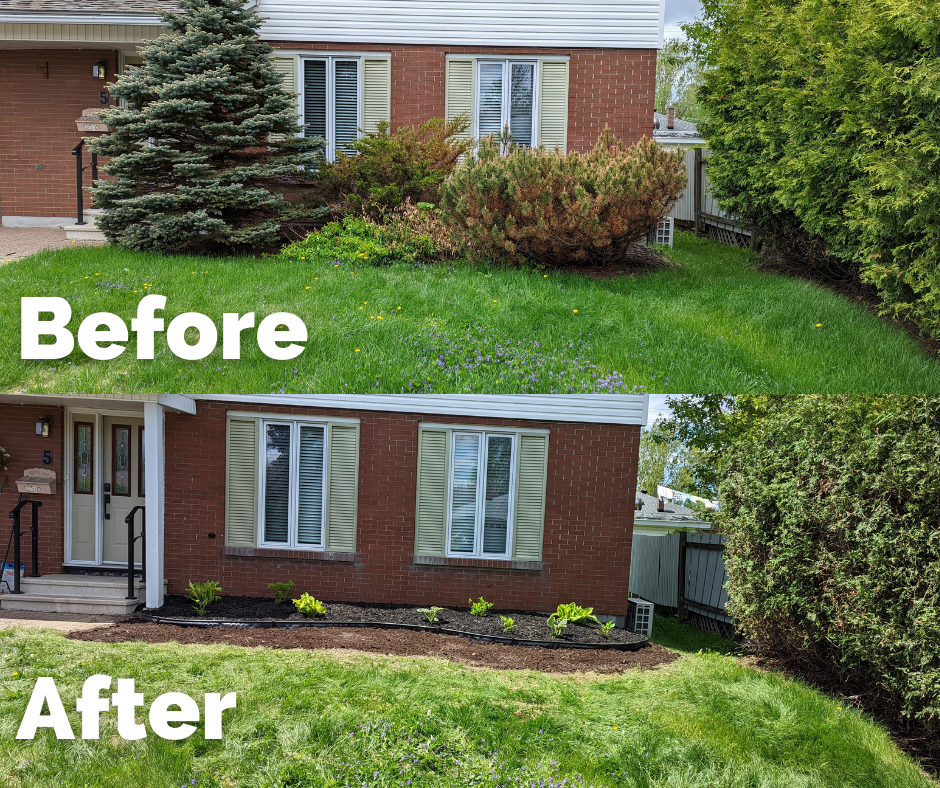 Sudbury Sod Father