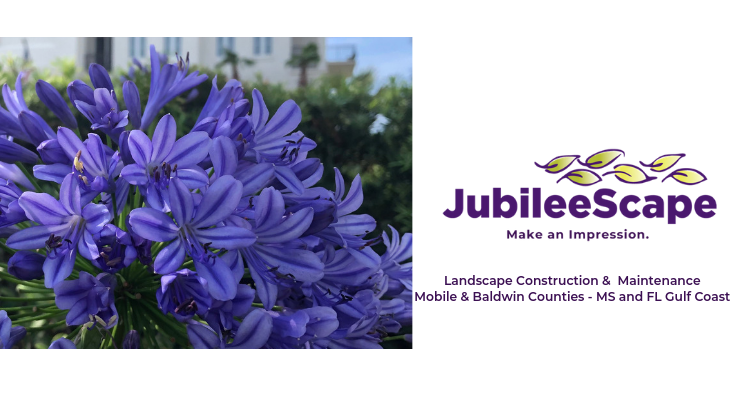 JubileeScape