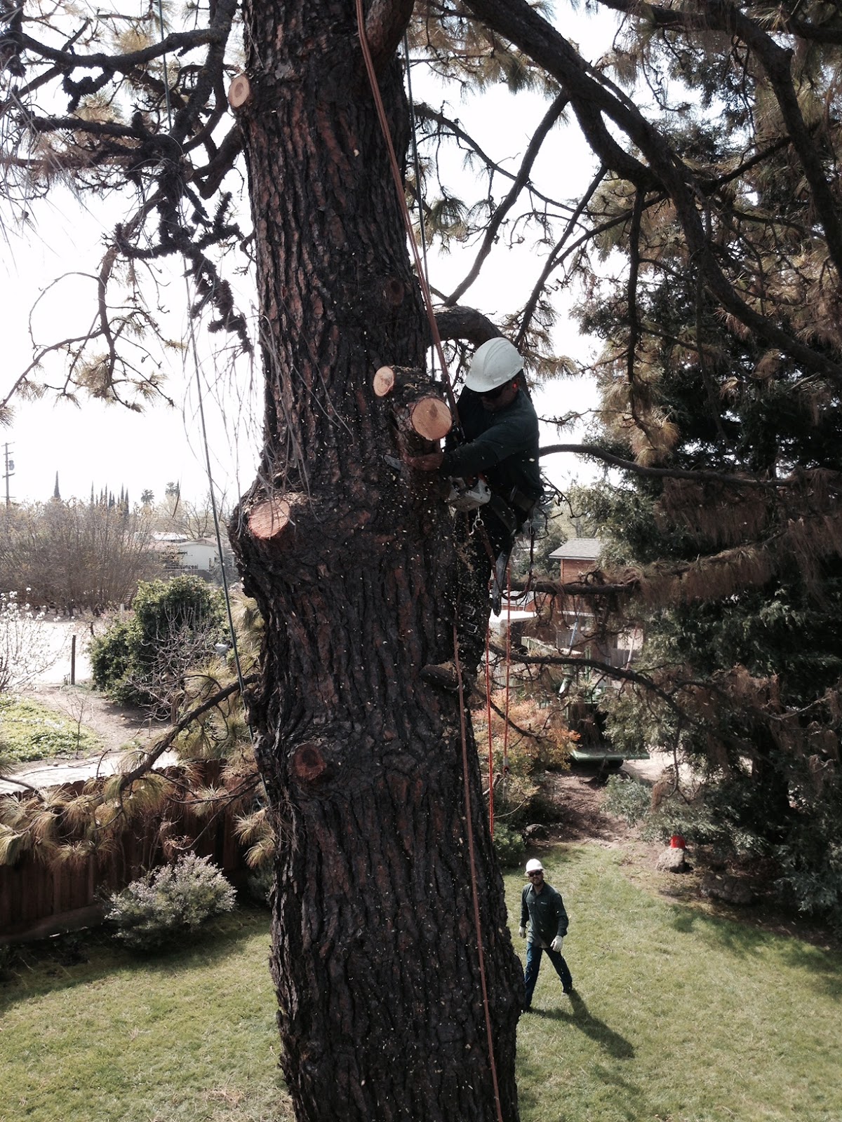 Grover Landscape Services Inc