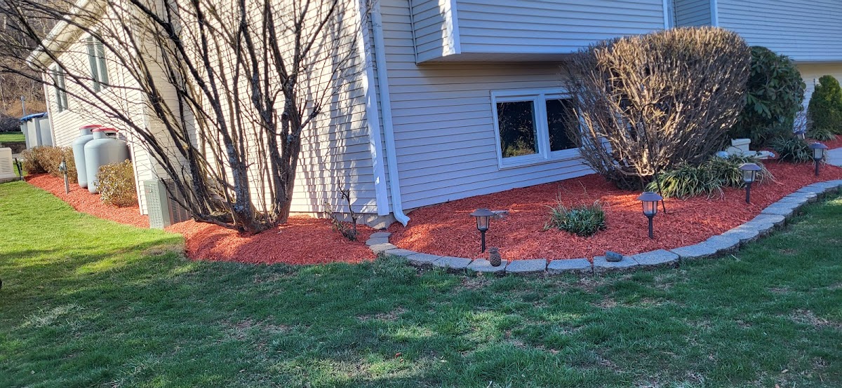 Amorales landscaping services llc & tree removal