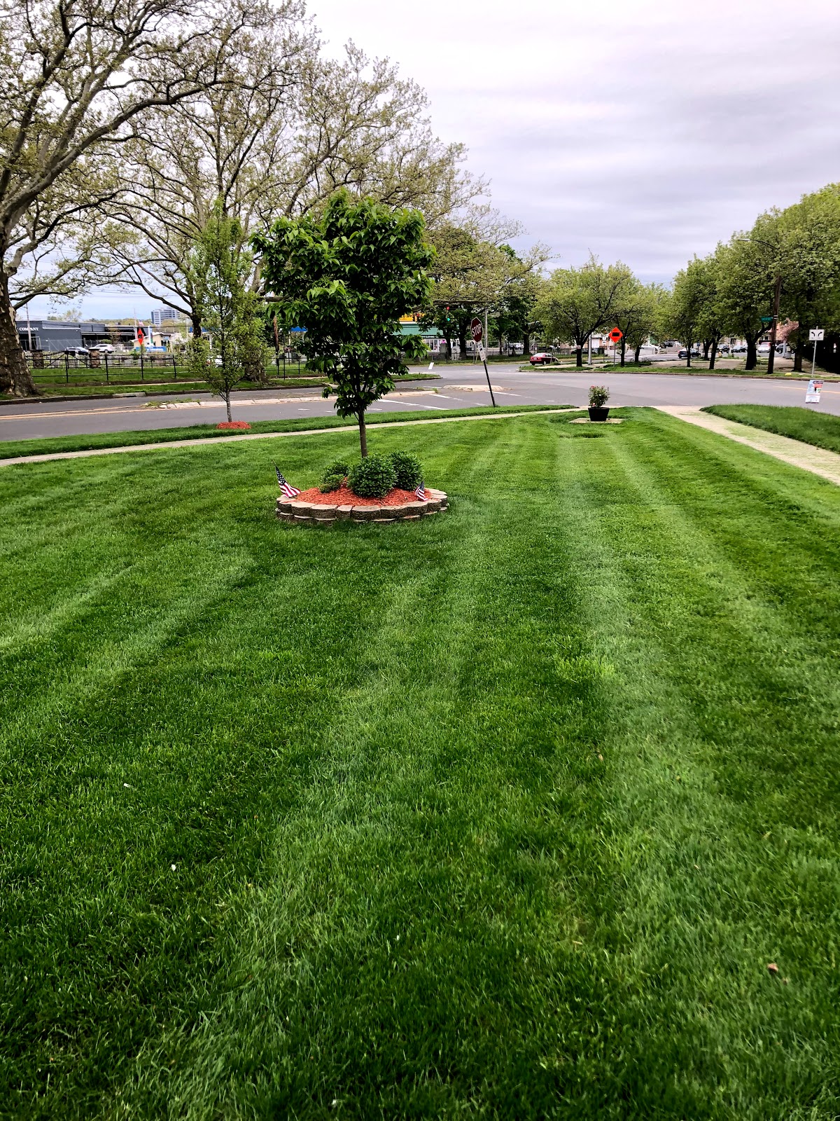 Centi's Landscaping LLC & Tree Removal Services