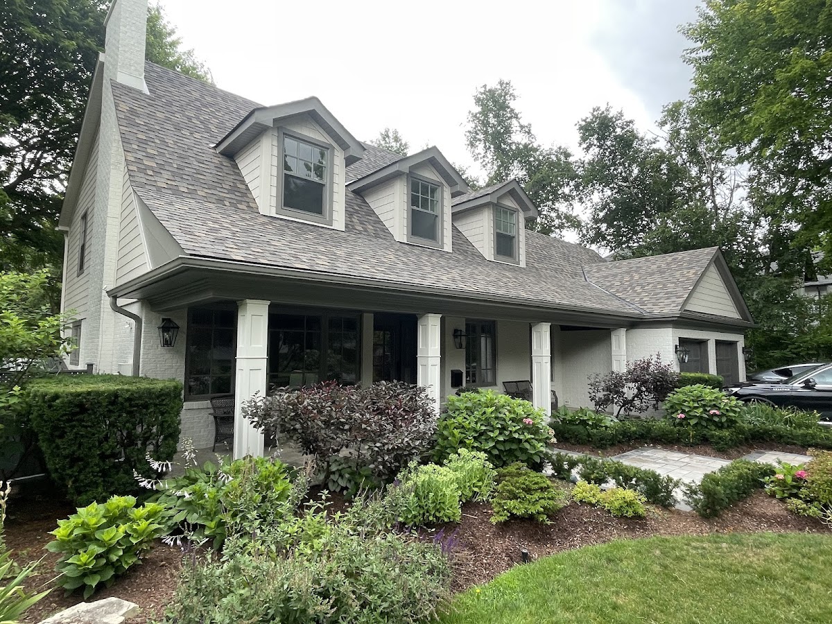 Schneider & Sons Painting