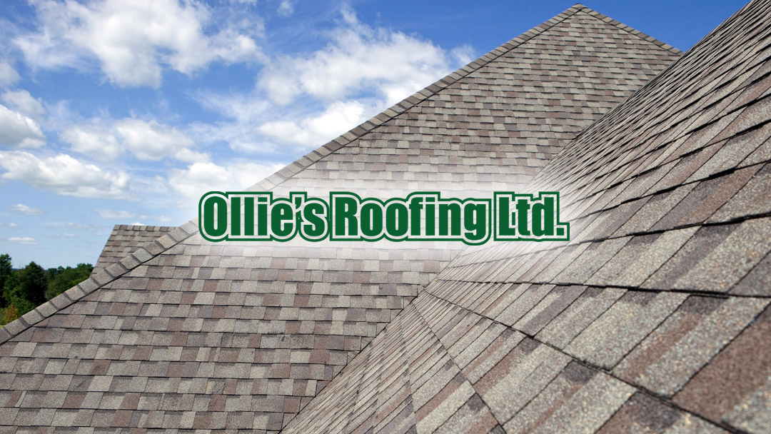 Ollie's Roofing Ltd.