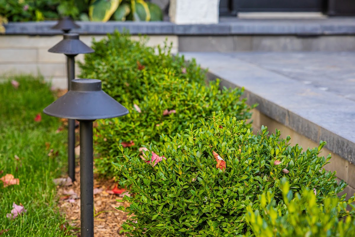 Marquize Paysagement