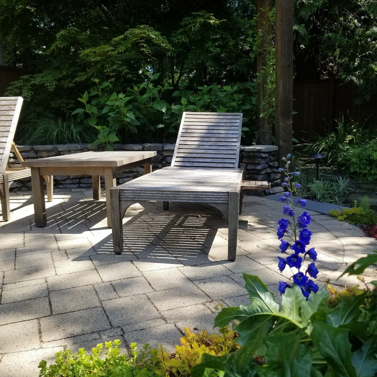 Van De Poll Garden Design