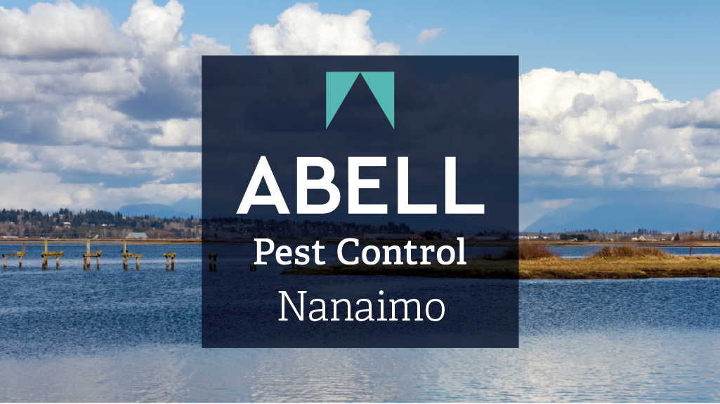 Abell Pest Control