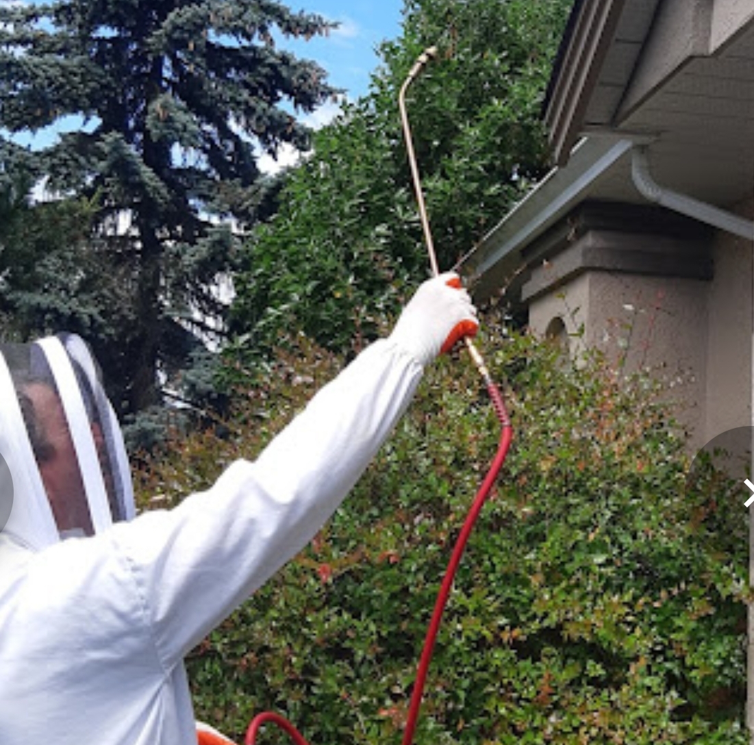 Owls Eye Pest Control