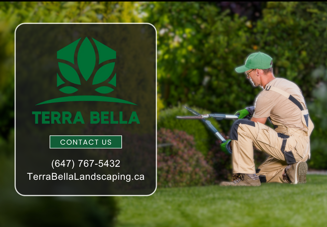 Terra Bella Landscaping