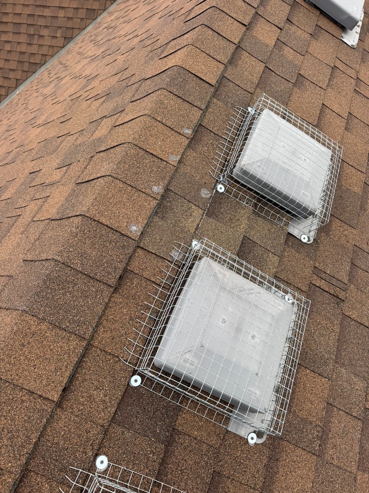 Empire Pest Control Newmarket