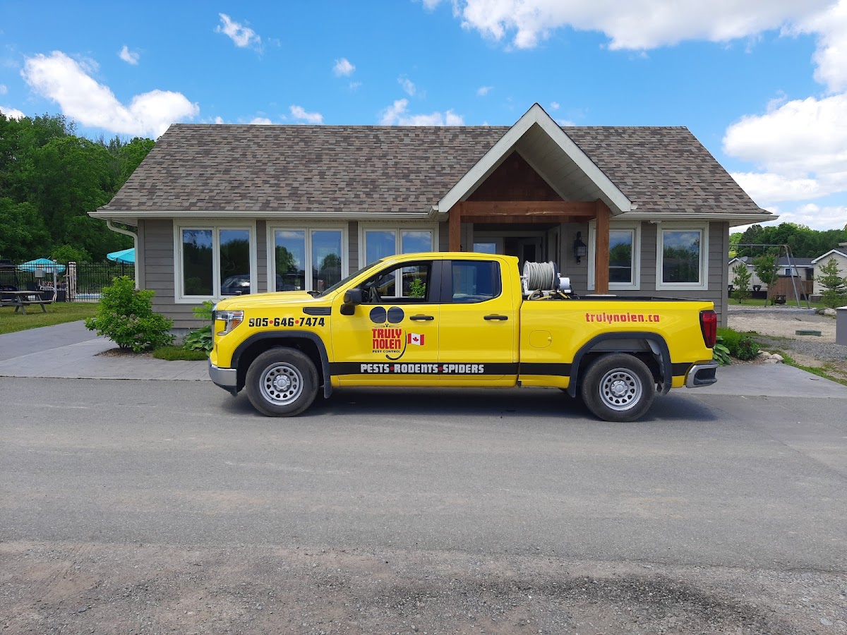 Truly Nolen Pest Control & Exterminators Newmarket
