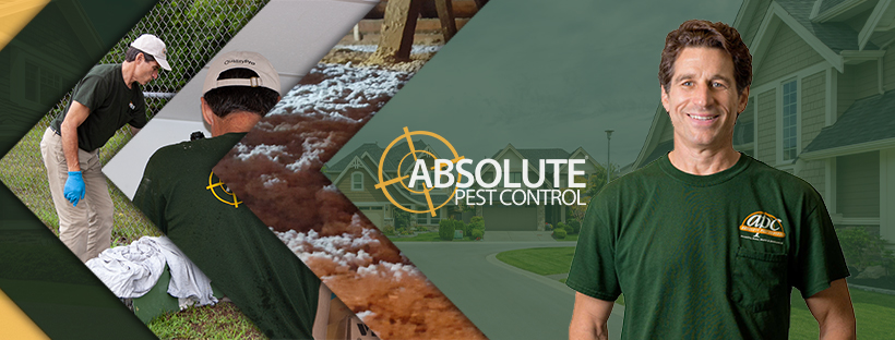 Absolute Pest Control