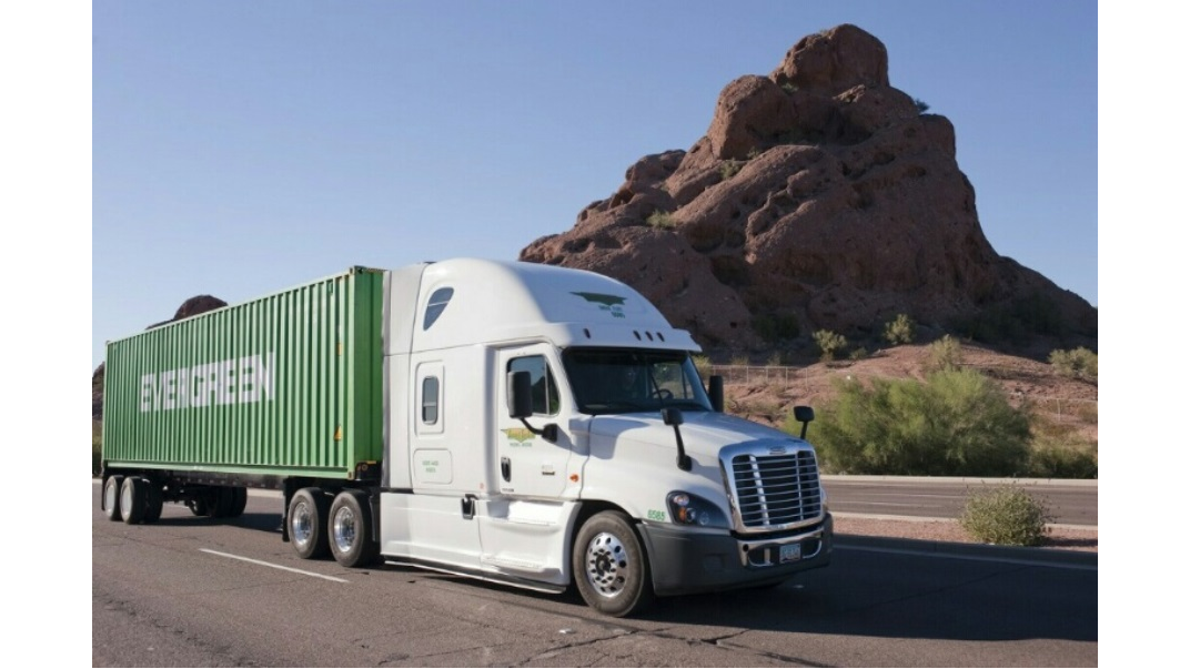 Duncan and Son Lines, Inc.