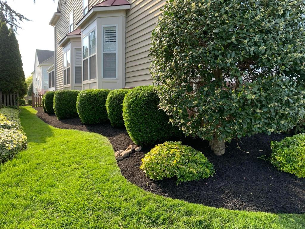 Cabimas Landscaping Inc