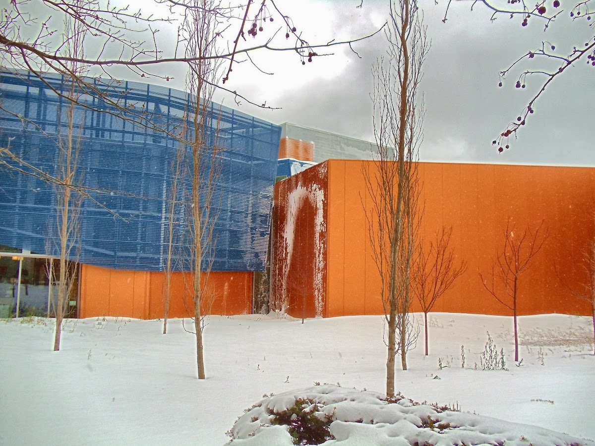 Main Image