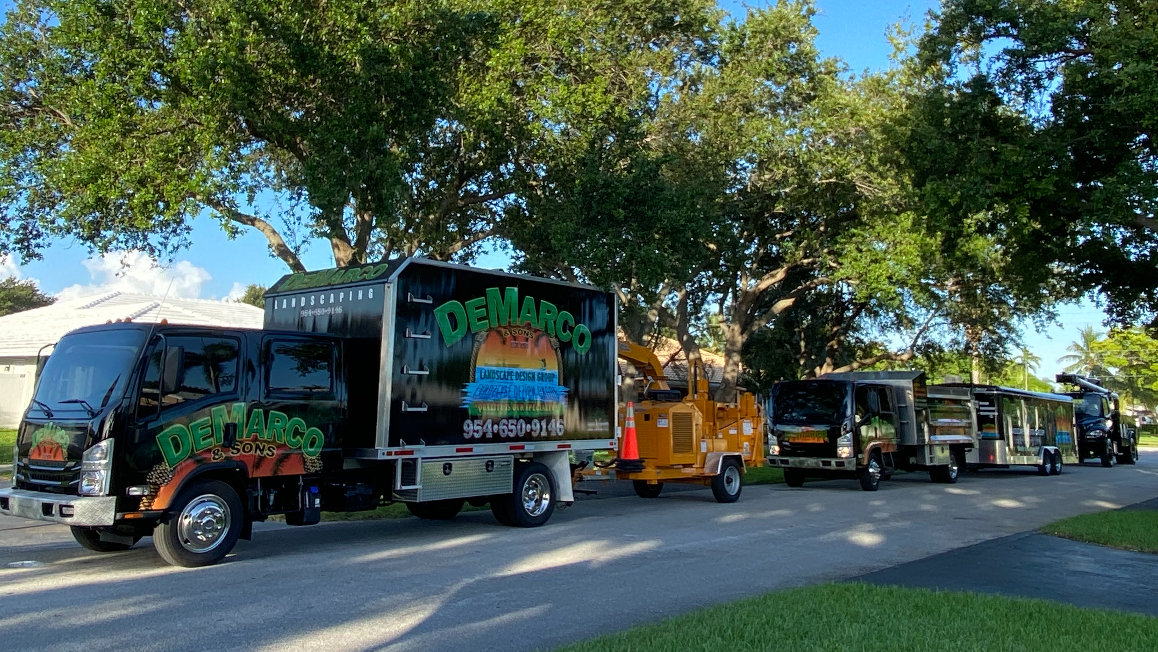 DeMarco Landscaping Design Group