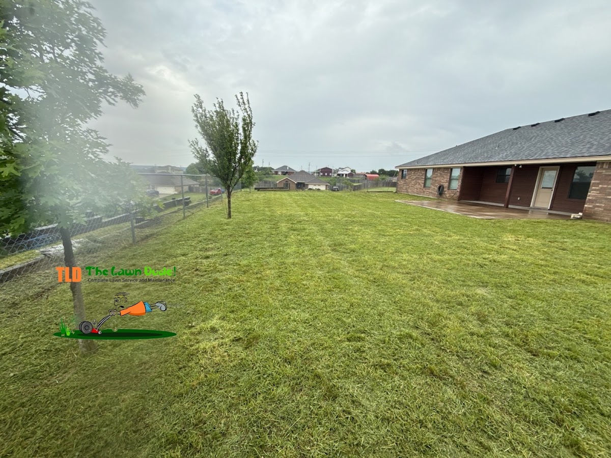 The Lawn Dude.LLC