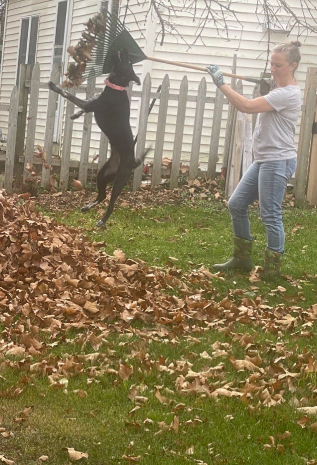 Ace Gardener Landscaping