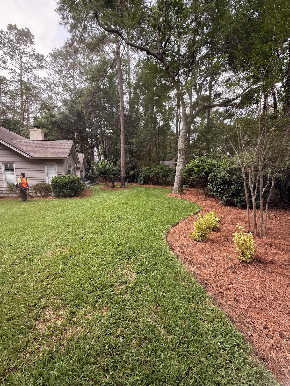 Best Landscape & Maintenance LLC