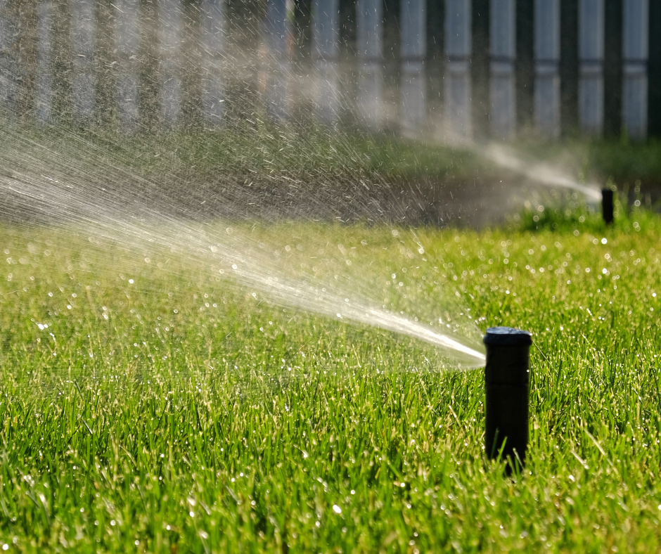 Lawn Care Solutions