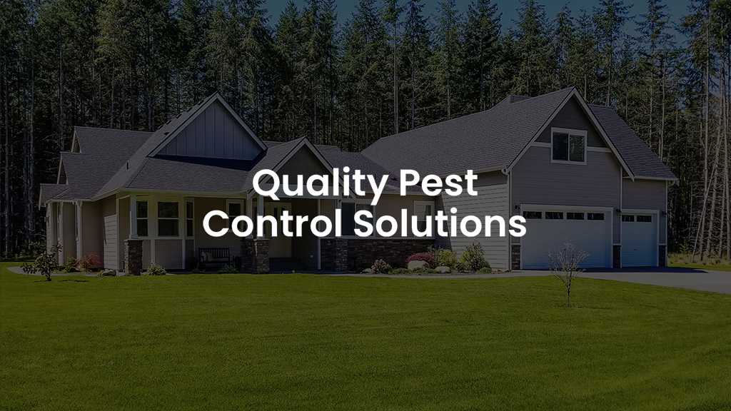 Gannon Pest Control