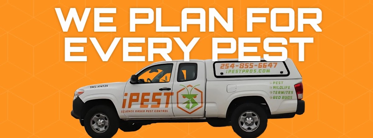 iPest Solutions