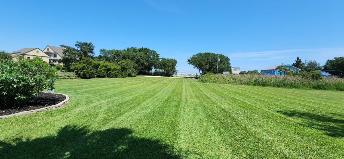 Vinedresser Lawn and Landscape Maintenance