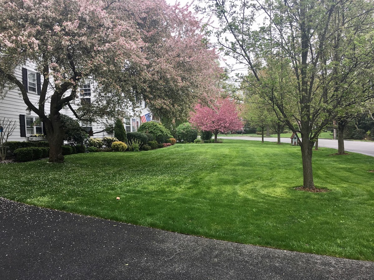 E Landscaping LLC