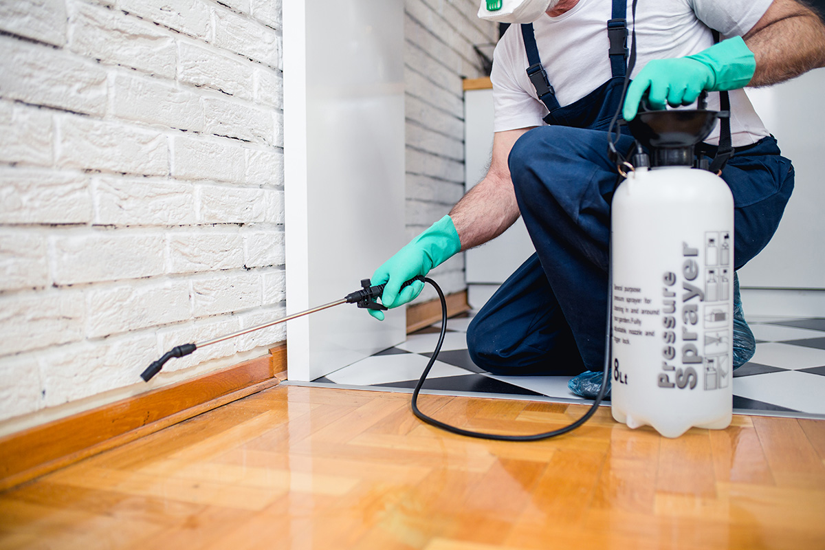 Yonkers Exterminator At Last Pest Control