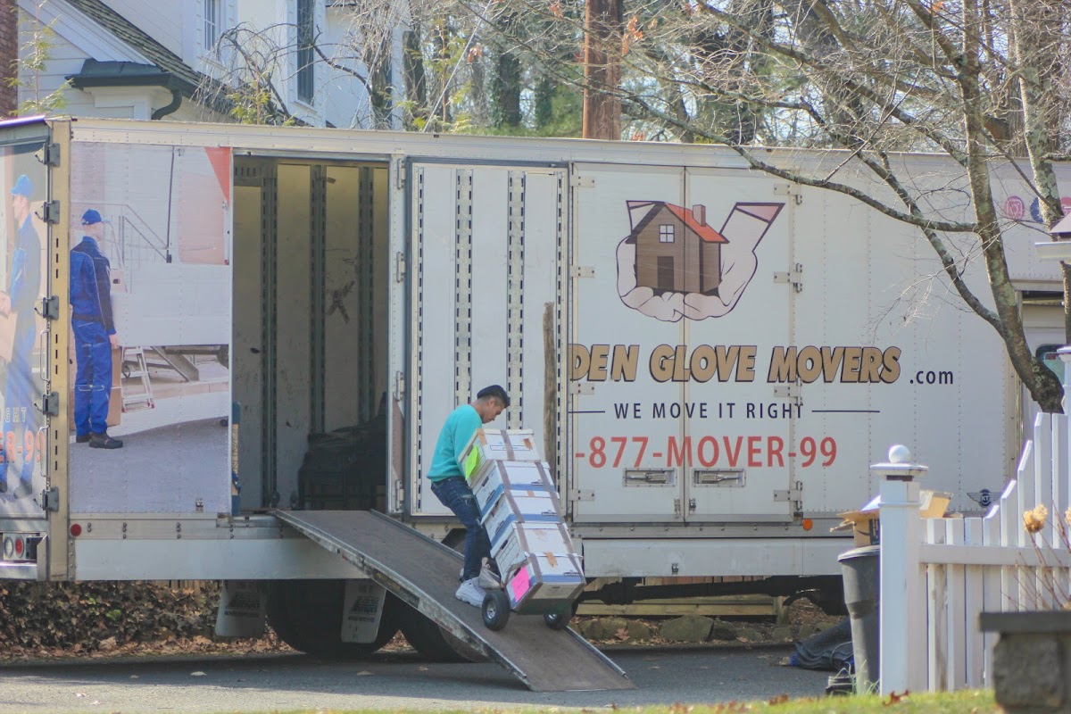 Golden Glove Movers