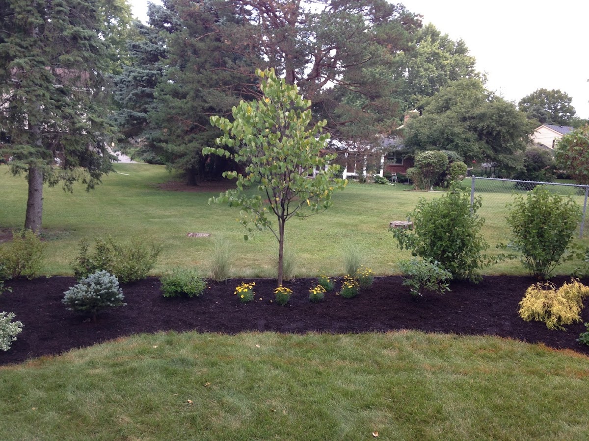 M2 Landscaping LLC