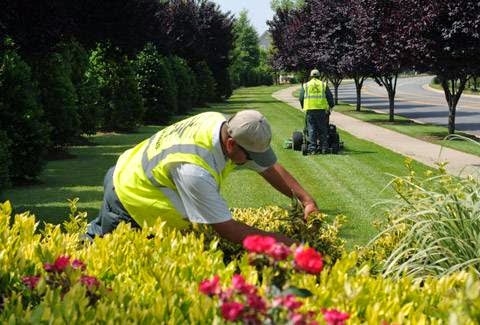 U.S. Lawns - Round Rock