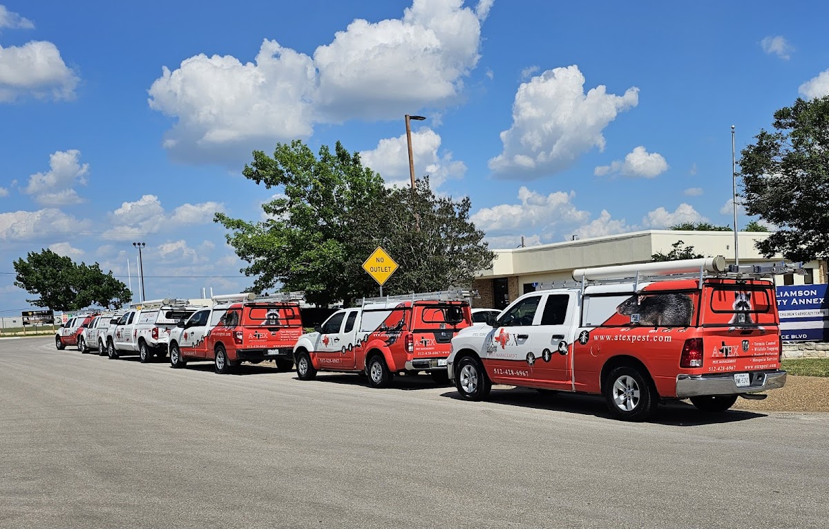 A-Tex Pest Management, Inc.
