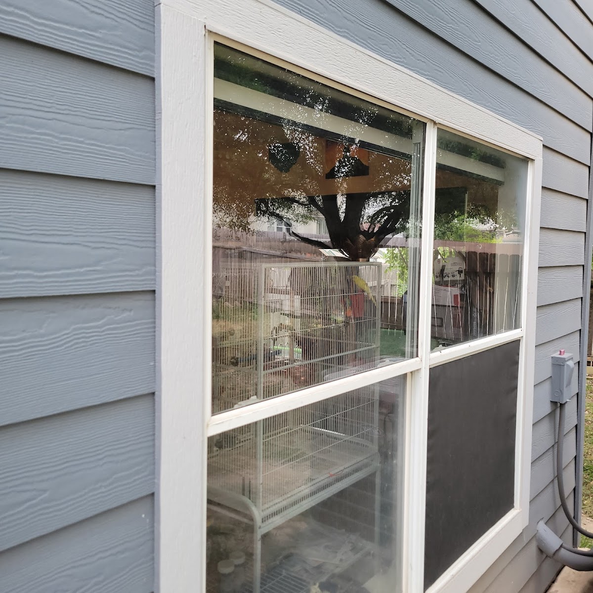 JJ's Window Services