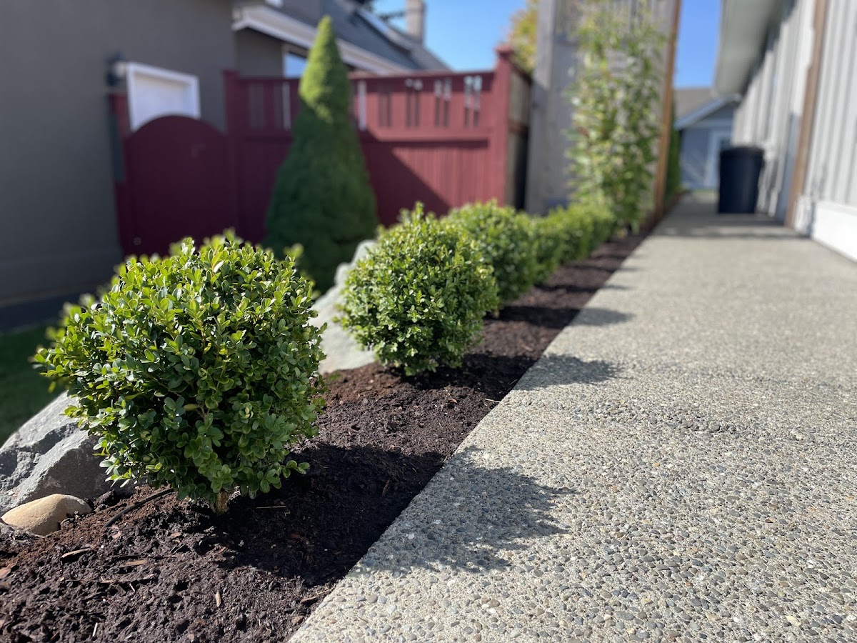 Salix Landscaping