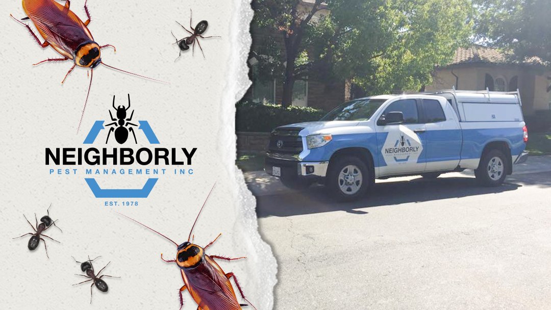 Neighborly Pest Management