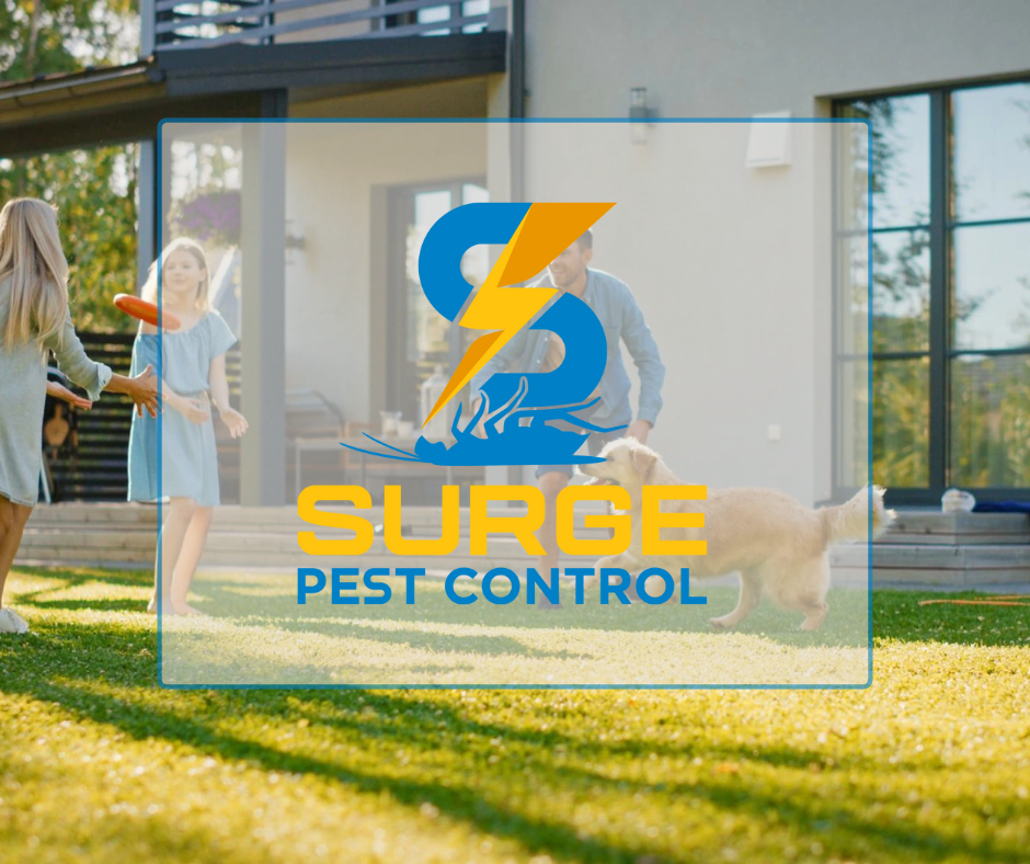 Surge Pest Control