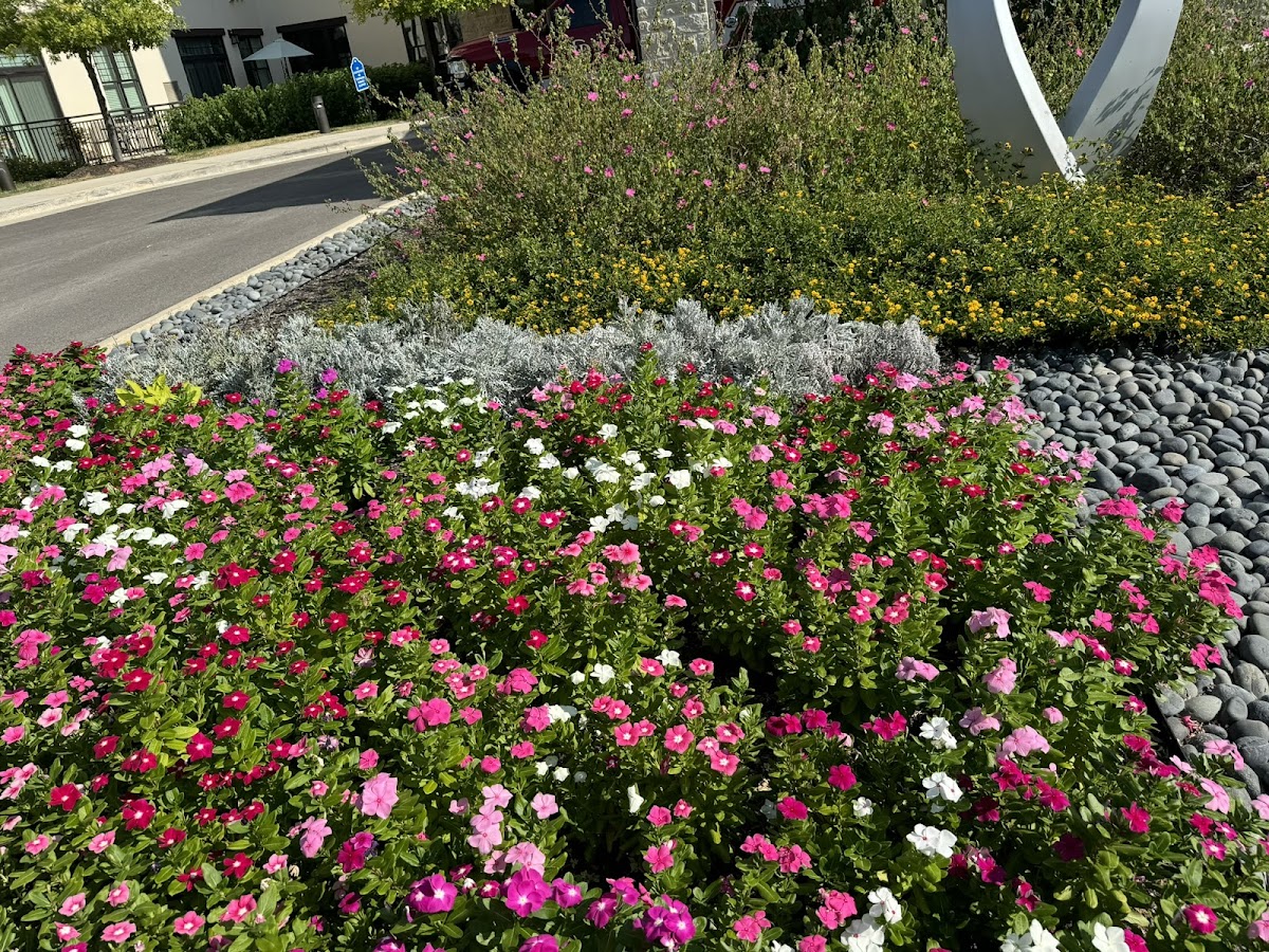 Sage Landscaping Commercial Services