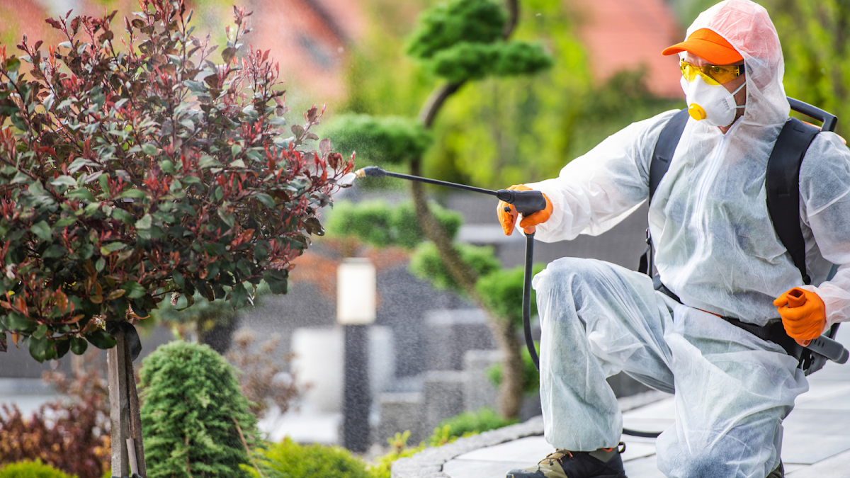 Wise Pest Control