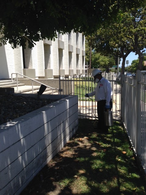 Dewey Pest & Termite Control