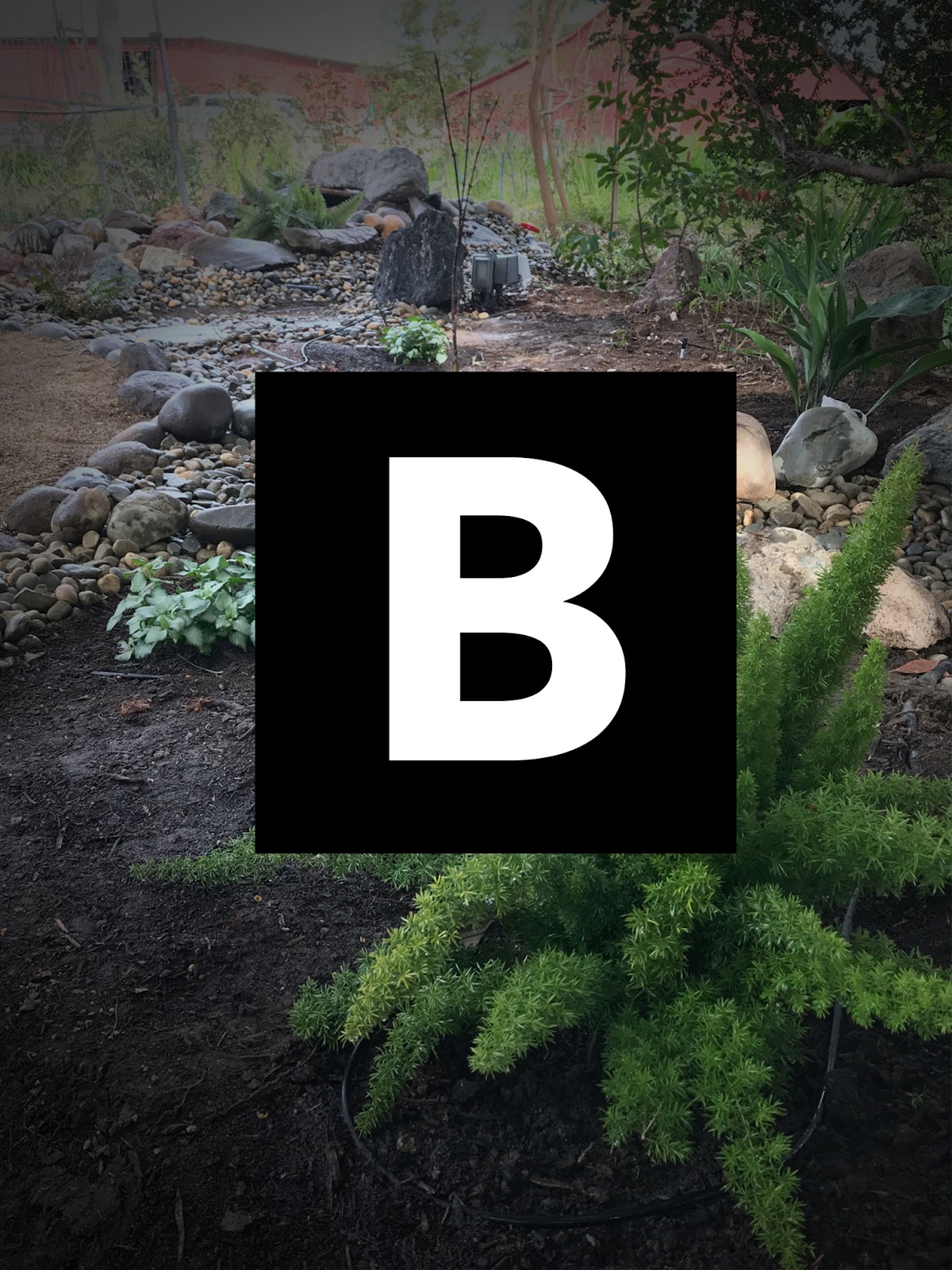 Bloom Landscaping