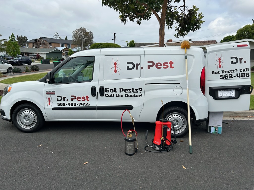 Dr. Pest