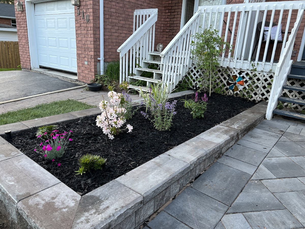 TNT Landscaping