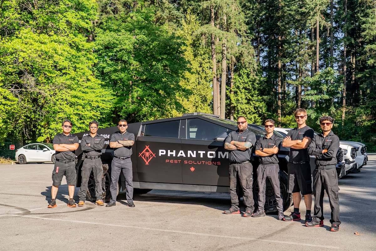 Phantom Pest Control North Vancouver
