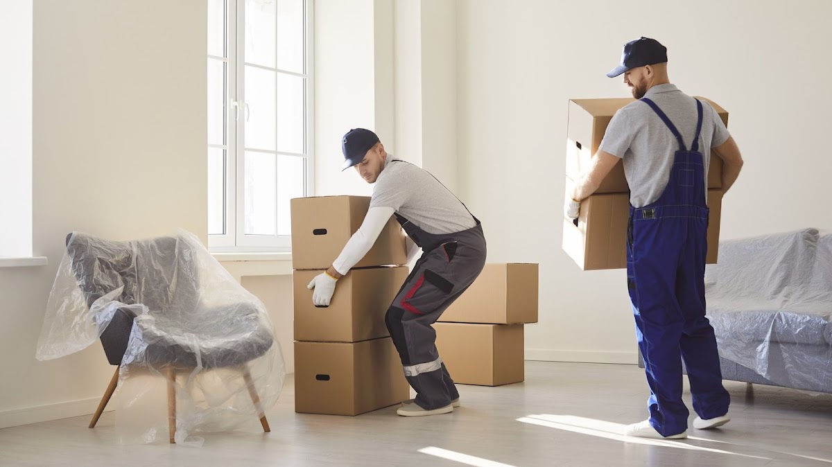 Ned's Movers