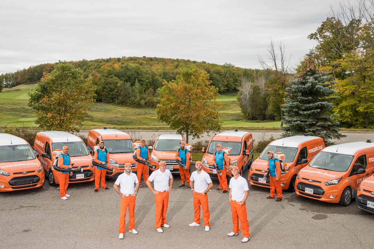 mosquito.buzz - Mosquito Control Sarnia